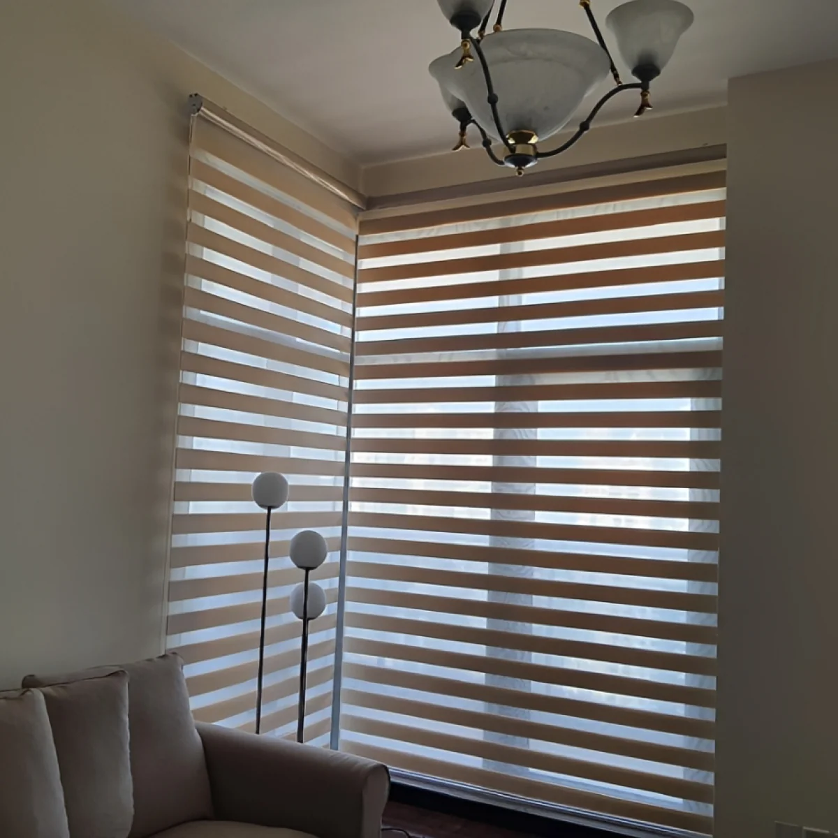 Zebra blinds — office
